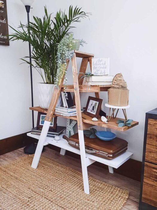Ladder Décor ideas for your Home