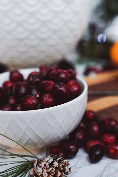 Cranberries in the Kitchen in a White Bowl
