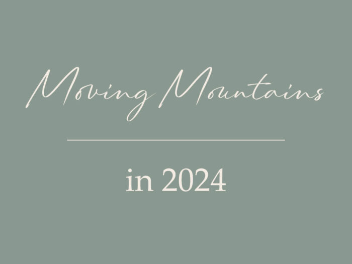 2024 Vision Board- 10 Fundamentals Every Christian homemaking Woman NEEDs to Know to be able to move mountains