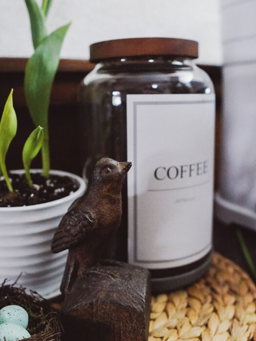 Spring Bird Decor for the Coffee Station