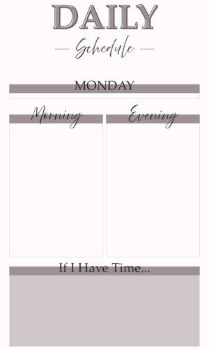 Daily Schedule