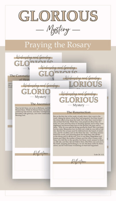Glorious Rosary Bundle Deal- Creamsicle- Katie T's Home