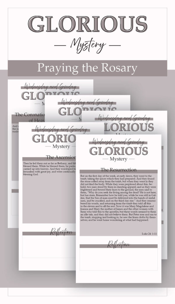 Glorious Rosary Bundle Deal- Mauve- Katie T's Home