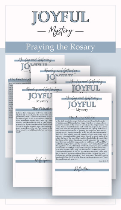 Joyful Rosary Bundle- Steel Blue- Katie T's Home