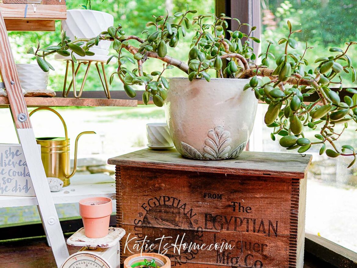 7 Charming Back Porch Essentials for a Cozy Outdoor Space