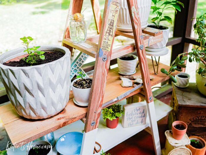 Ladder Shelf Decor Ideas for the Modern Cottage Home- 9 Styling Ideas with Katie T's Home