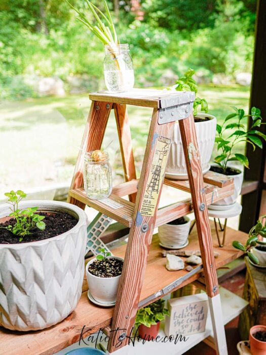 Painters Ladder for a Modern Cottage Screened-In Porch- Patio and Porch Must Haves- Modern Cottage Living- Katie T's Home