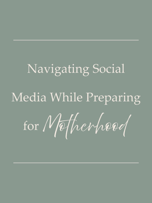 Christian Homemaking and Motherhood - Navigating through Social Media - Homemaking with Katie T's Home