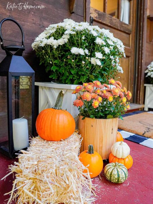 Cozy Fall Entryway Decor for a Screened In Porch- Rustic Cottage Living with Katie T's Home